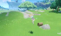 Featured image of post I swear, Nicole just throws in new chests once in a while