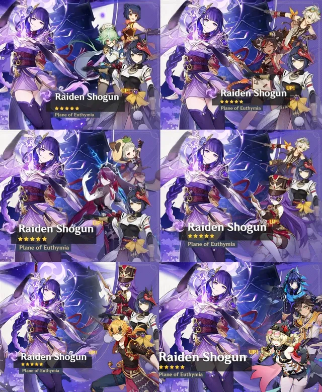 Featured image of post It's Raiden's first banner without Kujo Sara