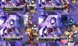 Featured image of post It's Raiden's first banner without Kujo Sara