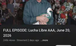 Featured image of post Varesa spotted in the background of a WWE livestream, cosplay by MisakiTL